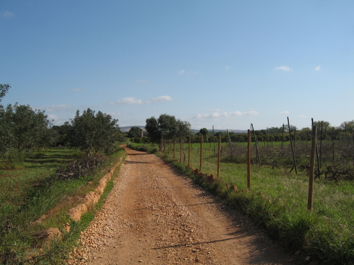 a picture called IMG 0036 klein should be here...