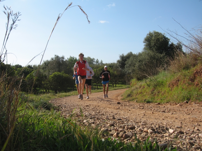 a picture called IMG 0041 klein should be here...