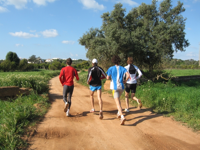 a picture called IMG 0047 klein should be here...