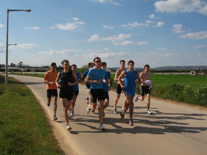 a picture called IMG 9908 klein should be here...