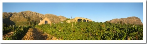 weingut-dieu-donne-franschhoek