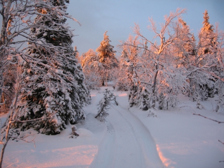 Weg hoch zum Gipfel des Valtavaara Nationaparks