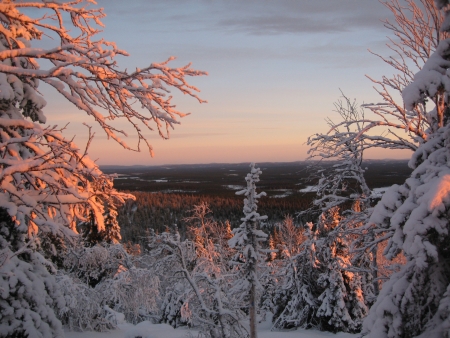 Winter Panorama Valtavaara Kuusamo